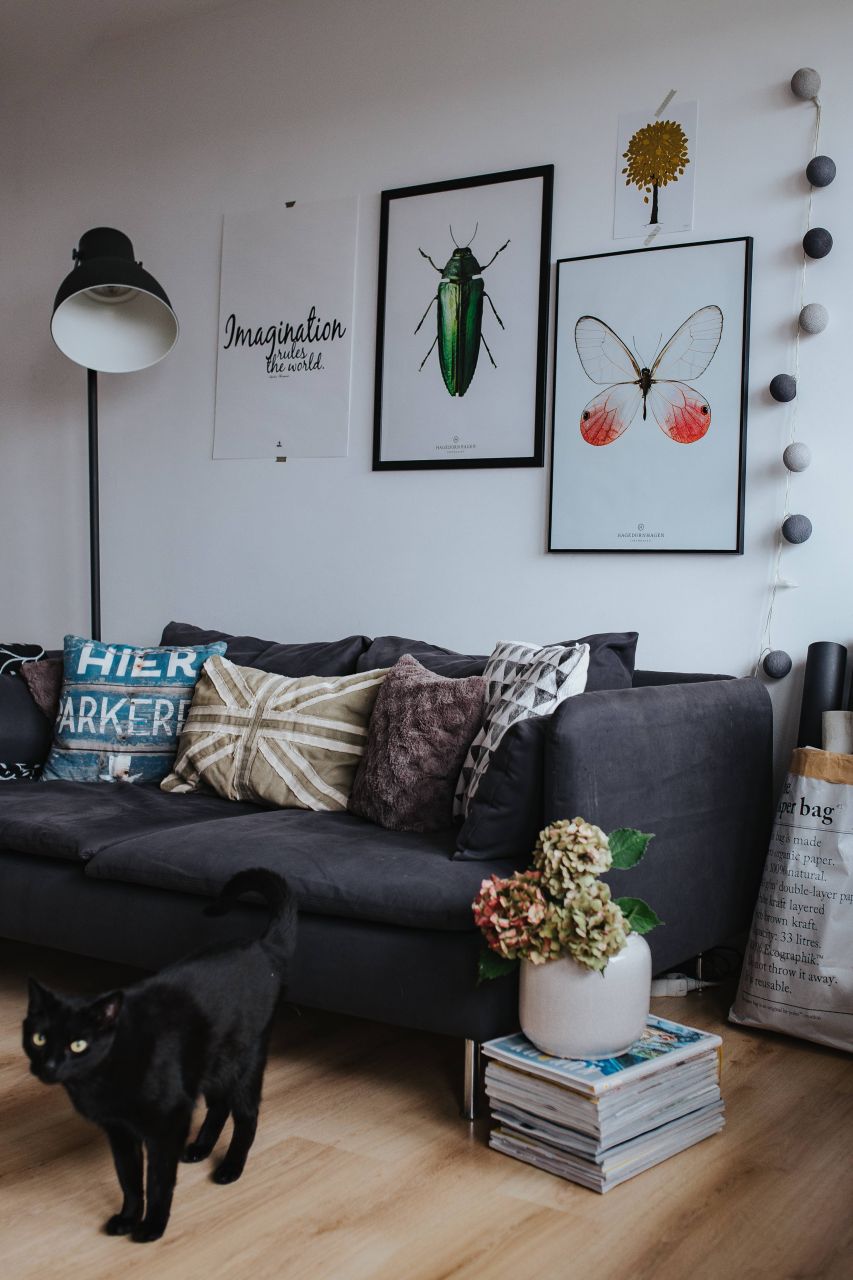 How to Create a Solo Dream Home