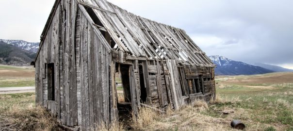 How to Live Solo (without going broke)