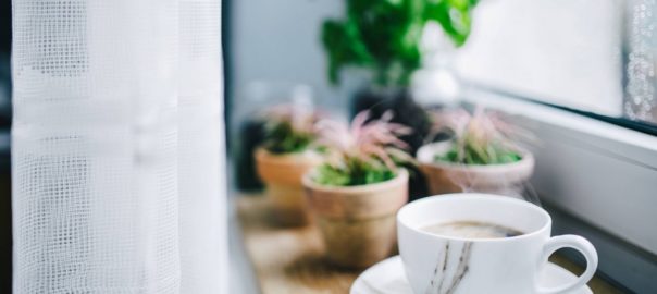 How to Live Alone without Being Wasteful | The American Spinster