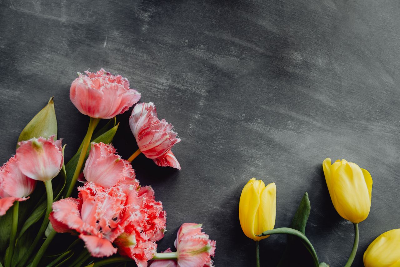 How We Devalue Motherhood in a Pro-Birth Society