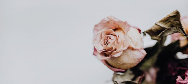 Designing Your Death as a Single Woman | A Spinster’s Guide to Death