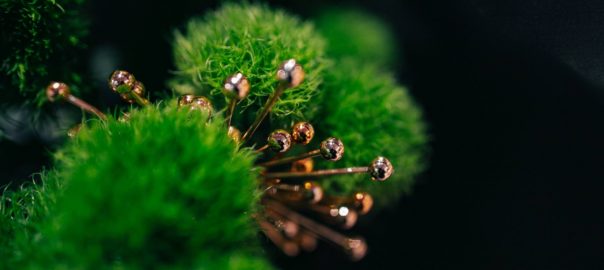 Why Do Childfree Women Hate Moms?