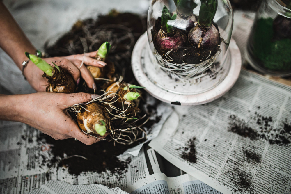 Spinstercore: The Aesthetics of Solo Living | Close-up of a woman's hands as she divides bulbs over newspaper |